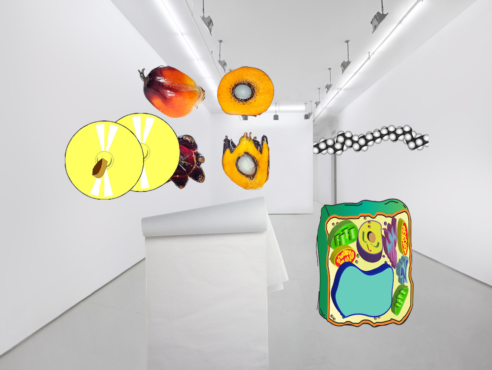 fruit, interior, polyethylene, palm, cross section, cell, plant cell, flora, paper, art, cymbal, drum, plastic, 